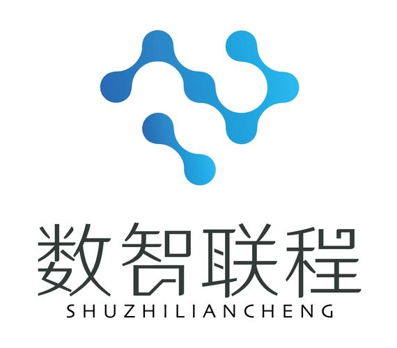 数智引领，联程赋能——数智联程（重庆）科技网络技术服务深度解析
